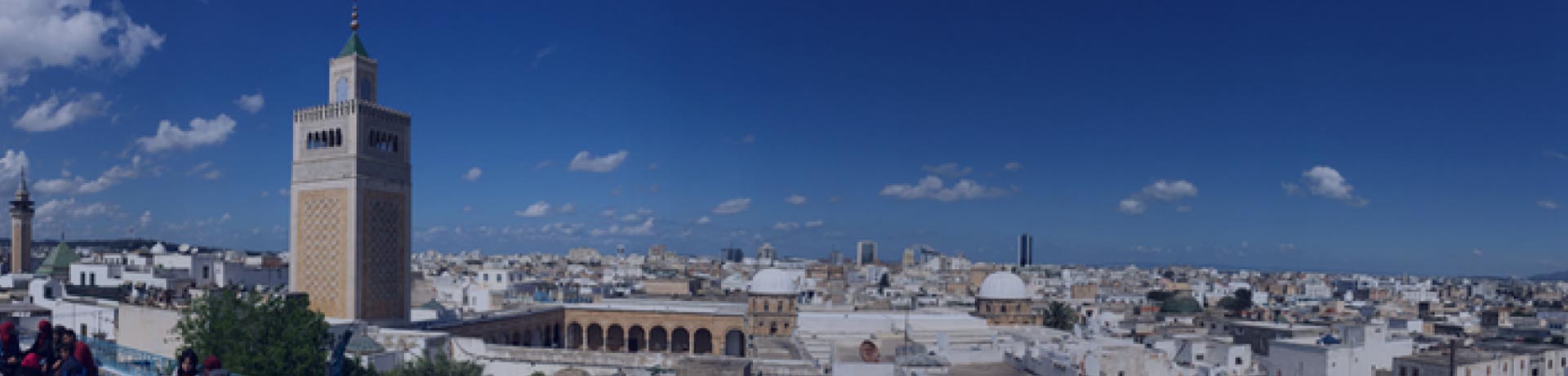 Vista da Tunisi